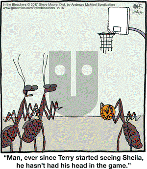 In the Bleachers on Thursday February 16, 2017 Comic Strip