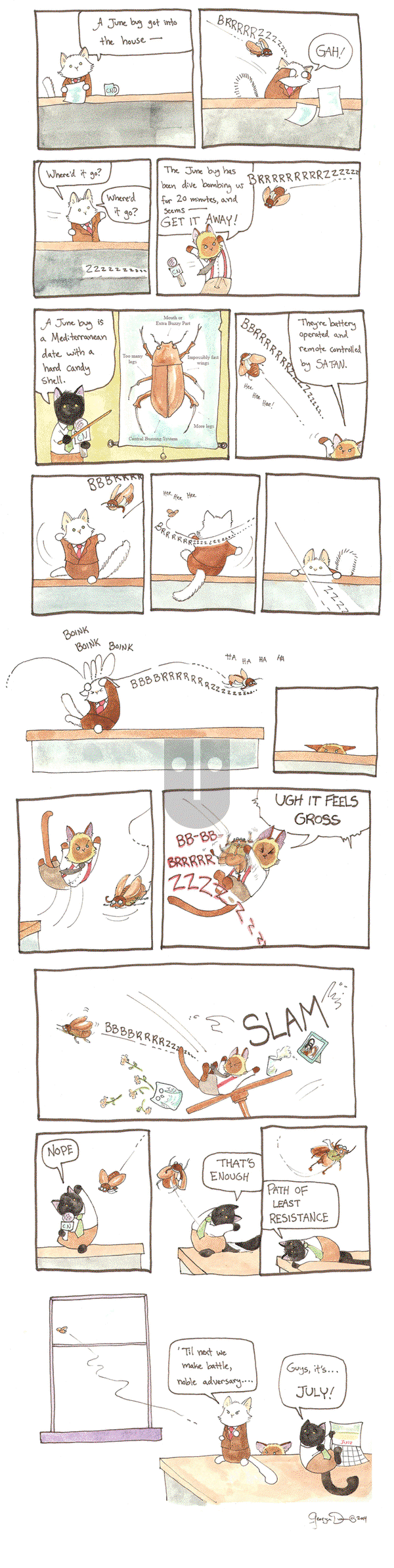 Breaking Cat News - Tuesday September 27, 2016 Comic Strip