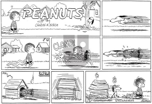 Peanuts on Sunday November 24, 1957 Comic Strip