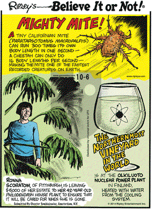 Ripley's Believe It or Not on Monday October 6, 2014 Comic Strip