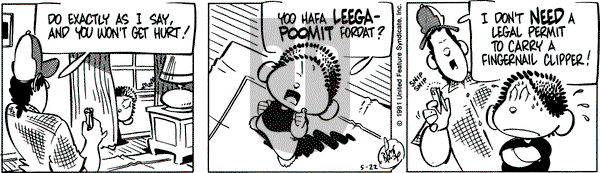 Rose is Rose on Wednesday May 22, 1991 Comic Strip
