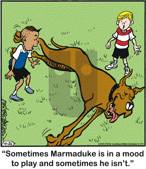 Marmaduke on Monday October 26, 2020 Comic Strip