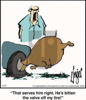 Herman on Friday June 27, 2008 Comic Strip