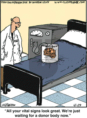 Close to Home on Thursday April 29, 2010 Comic Strip