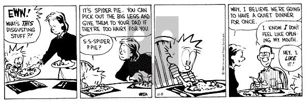 Calvin and Hobbes - Friday December 8, 1989 Comic Strip
