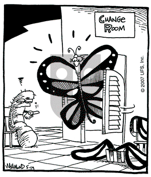 Reality Check - Saturday May 19, 2007 Comic Strip