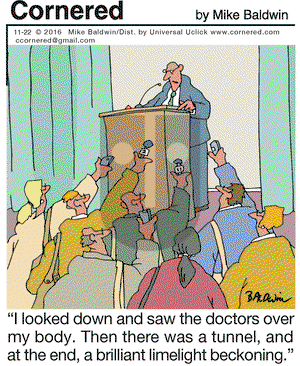 Cornered on Tuesday November 22, 2016 Comic Strip