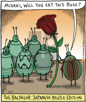 The Argyle Sweater on Thursday August 23, 2018 Comic Strip