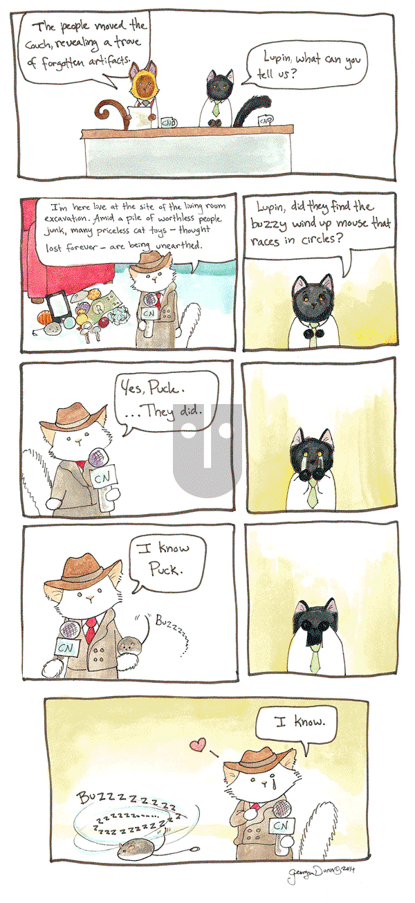 Breaking Cat News on Thursday September 1, 2016 Comic Strip