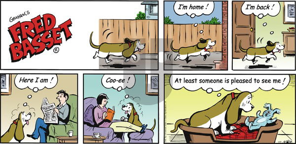 Fred Basset on Sunday May 29, 2016 Comic Strip