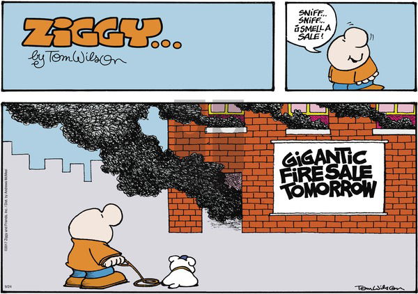 Ziggy - Sunday September 24, 2023 Comic Strip