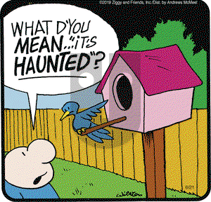 Ziggy on Friday June 21, 2019 Comic Strip