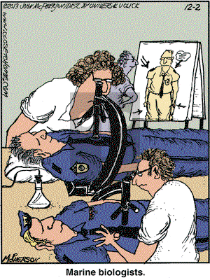 Close to Home on Monday December 2, 2013 Comic Strip