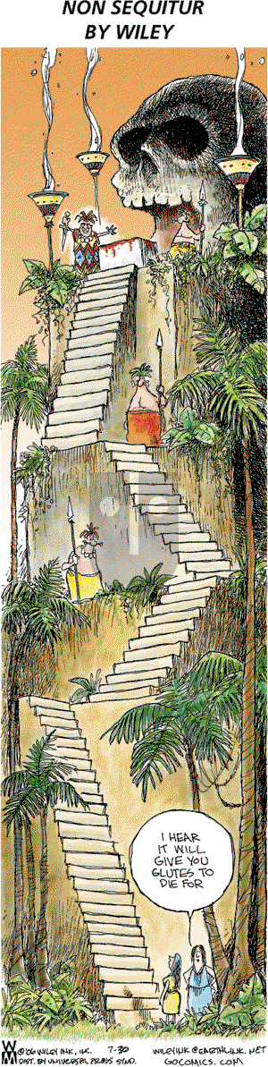 Non Sequitur on Sunday July 30, 2006 Comic Strip
