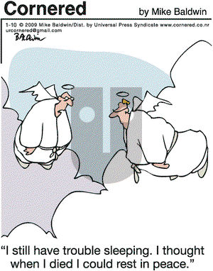 Cornered on Saturday January 10, 2009 Comic Strip