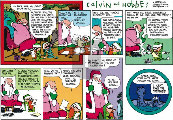 Calvin and Hobbes - Sunday December 24, 1995 Comic Strip