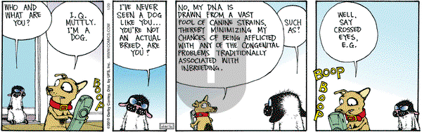 Get Fuzzy - Wednesday January 20, 2010 Comic Strip