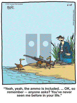 In the Bleachers - Thursday June 28, 2007 Comic Strip