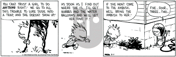 Calvin and Hobbes on Tuesday August 17, 1993 Comic Strip