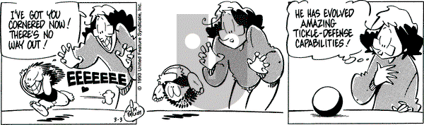Rose is Rose on Wednesday March 3, 1993 Comic Strip