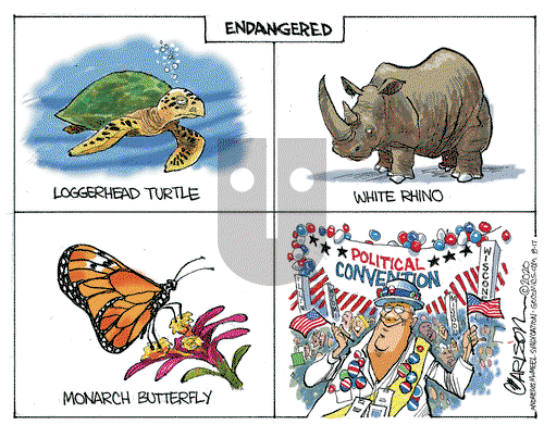 Stuart Carlson on Monday August 17, 2020 Comic Strip