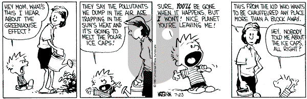 Calvin and Hobbes - Thursday July 23, 1987 Comic Strip