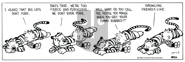 Calvin and Hobbes on Tuesday October 17, 1989 Comic Strip