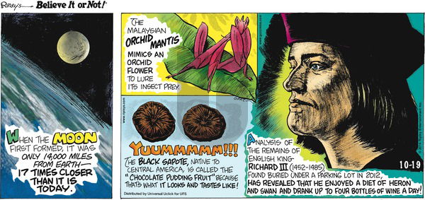 Ripley's Believe It or Not on Sunday October 19, 2014 Comic Strip