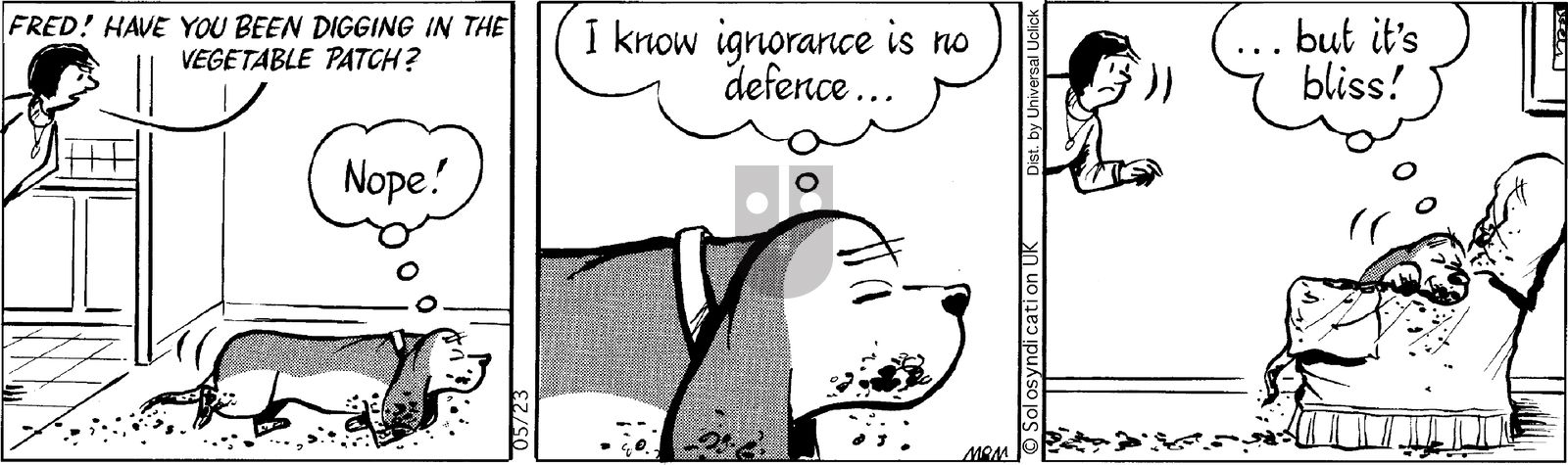 Fred Basset on Friday May 23, 2014 Comic Strip
