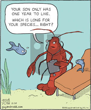 Brevity on Tuesday December 30, 2008 Comic Strip
