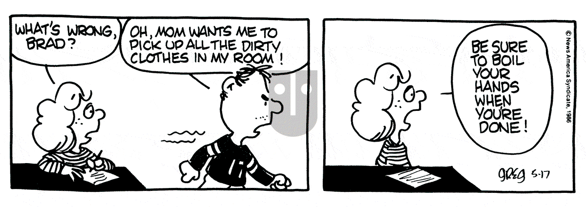 Luann - Saturday May 17, 1986 Comic Strip