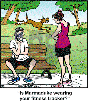 Marmaduke on Tuesday July 2, 2019 Comic Strip