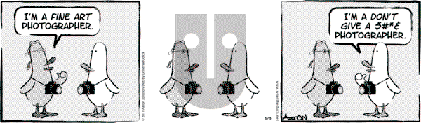 W.T. Duck on Sunday November 19, 2023 Comic Strip