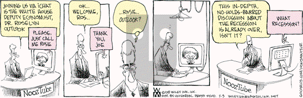 Non Sequitur on Thursday July 3, 2008 Comic Strip