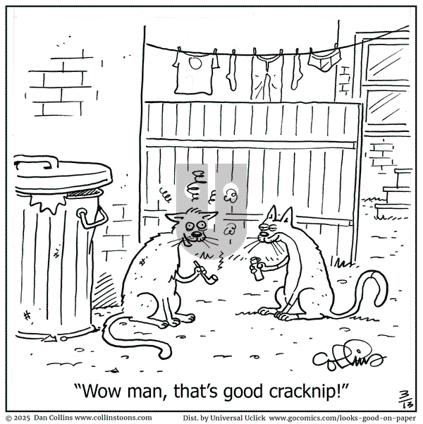 Looks Good on Paper on Thursday March 13, 2025 Comic Strip