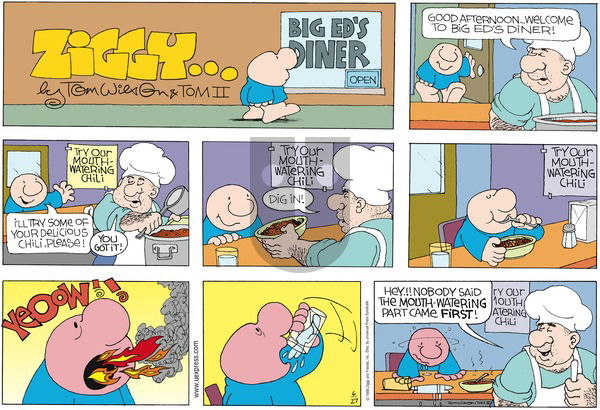 Ziggy on Sunday June 27, 1999 Comic Strip