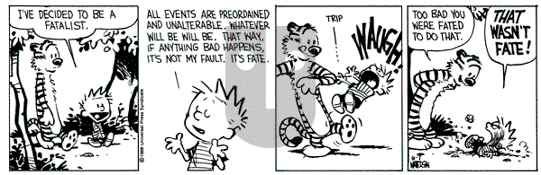 Calvin and Hobbes on Tuesday June 7, 1988 Comic Strip