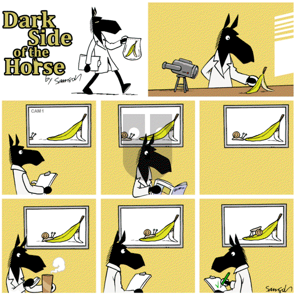 Dark Side of the Horse on Wednesday April 17, 2019 Comic Strip