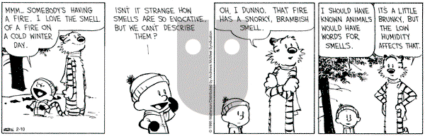 Calvin and Hobbes - Monday February 10, 2025 Comic Strip