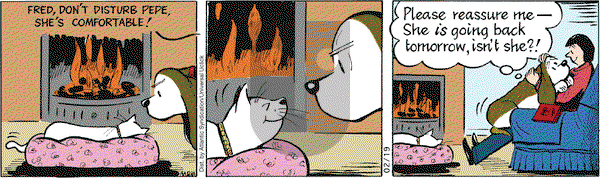 Fred Basset on Friday February 19, 2010 Comic Strip