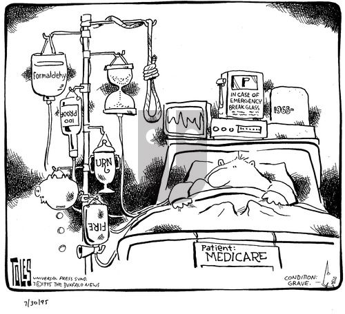 Tom Toles on Sunday July 30, 1995 Comic Strip