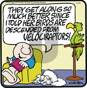 Ziggy - Friday May 19, 2023 Comic Strip