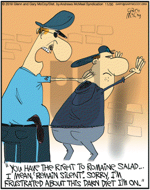 The Flying McCoys on Saturday November 30, 2019 Comic Strip