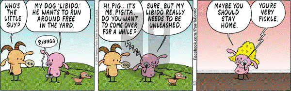 Pearls Before Swine on Friday August 5, 2016 Comic Strip