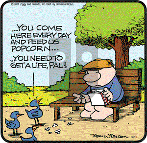 Ziggy on Saturday December 10, 2016 Comic Strip