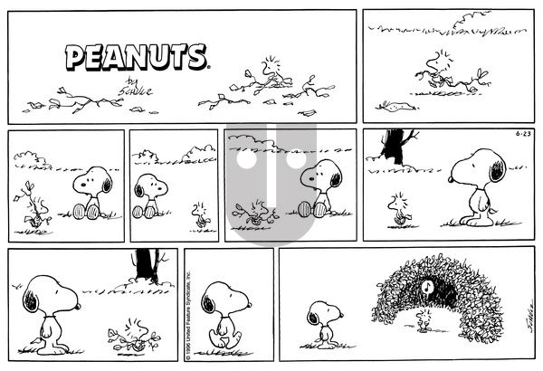 Peanuts on Sunday June 23, 1996 Comic Strip