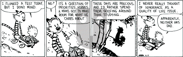Calvin and Hobbes - Friday June 4, 1993 Comic Strip