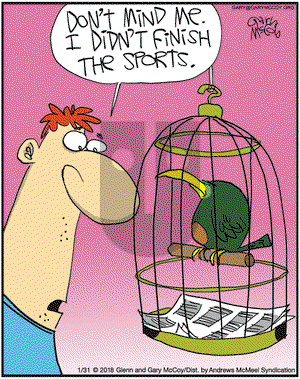 The Flying McCoys on Wednesday January 31, 2018 Comic Strip