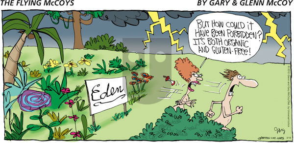 The Flying McCoys on Sunday March 18, 2012 Comic Strip