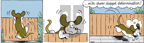 Fred Basset on Friday December 10, 2010 Comic Strip